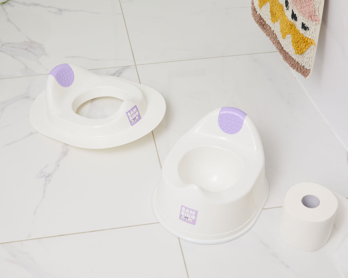 What is the Best Potty Training Seat?
