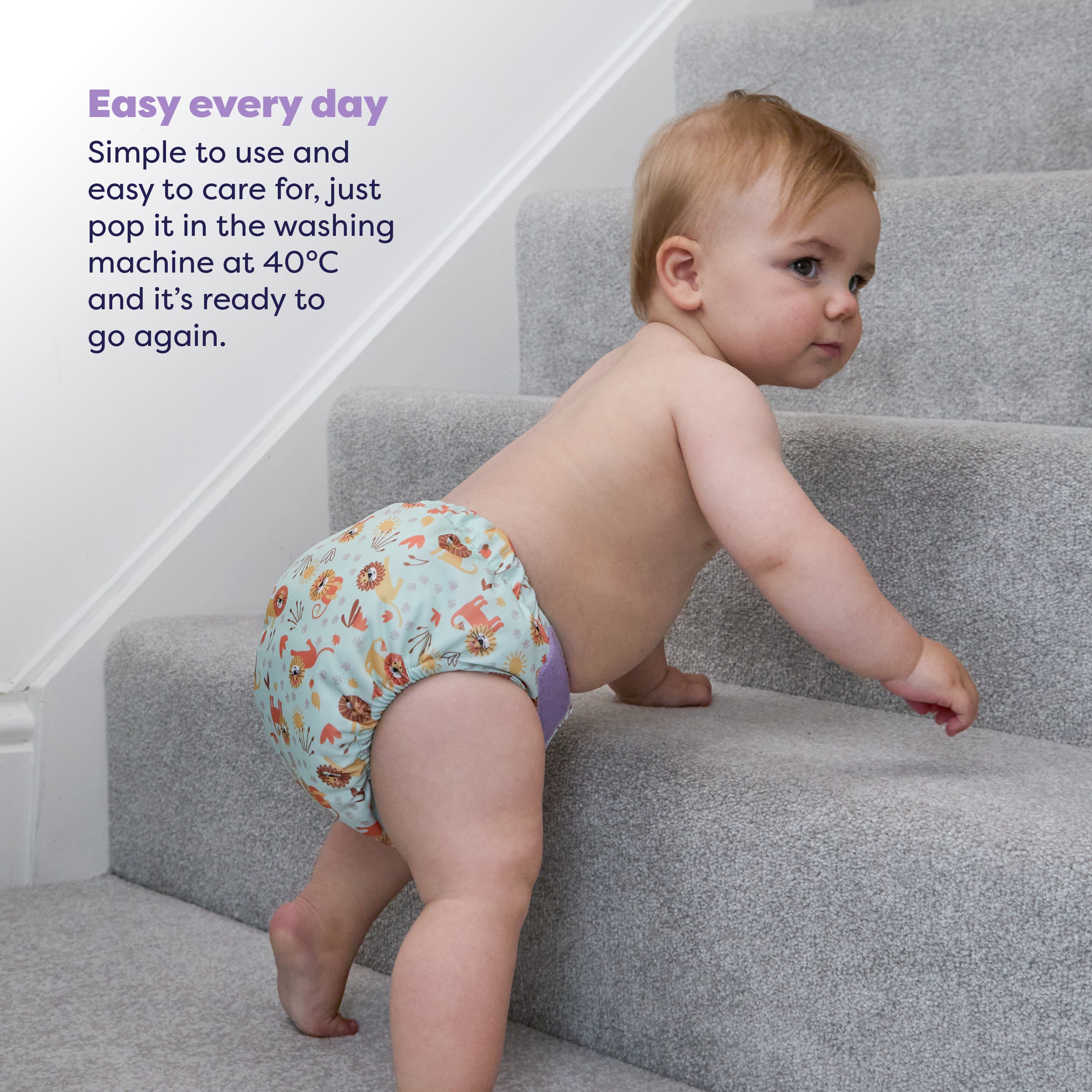 The Newborn Reusable Nappy Starter Bundle in Wild Life - Bambino Mio (UK)