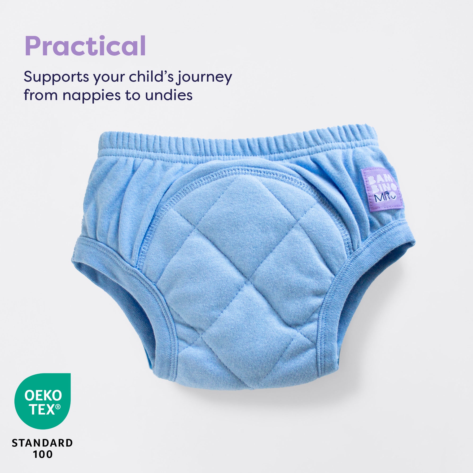 Reusable Potty Training Pants in Blue - Bambino Mio (UK)