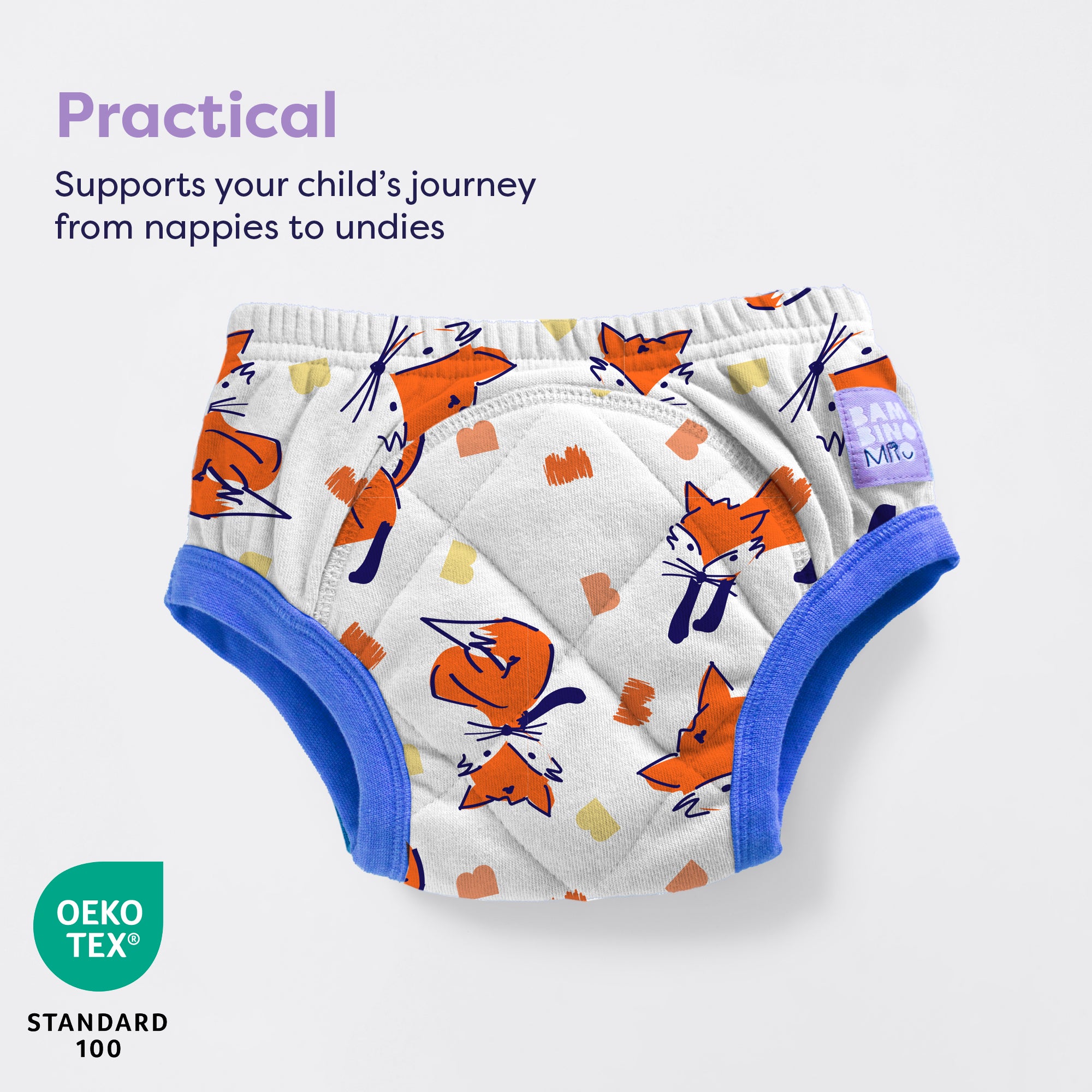 Reusable Potty Training Pants in Fuzz - Bambino Mio (UK)