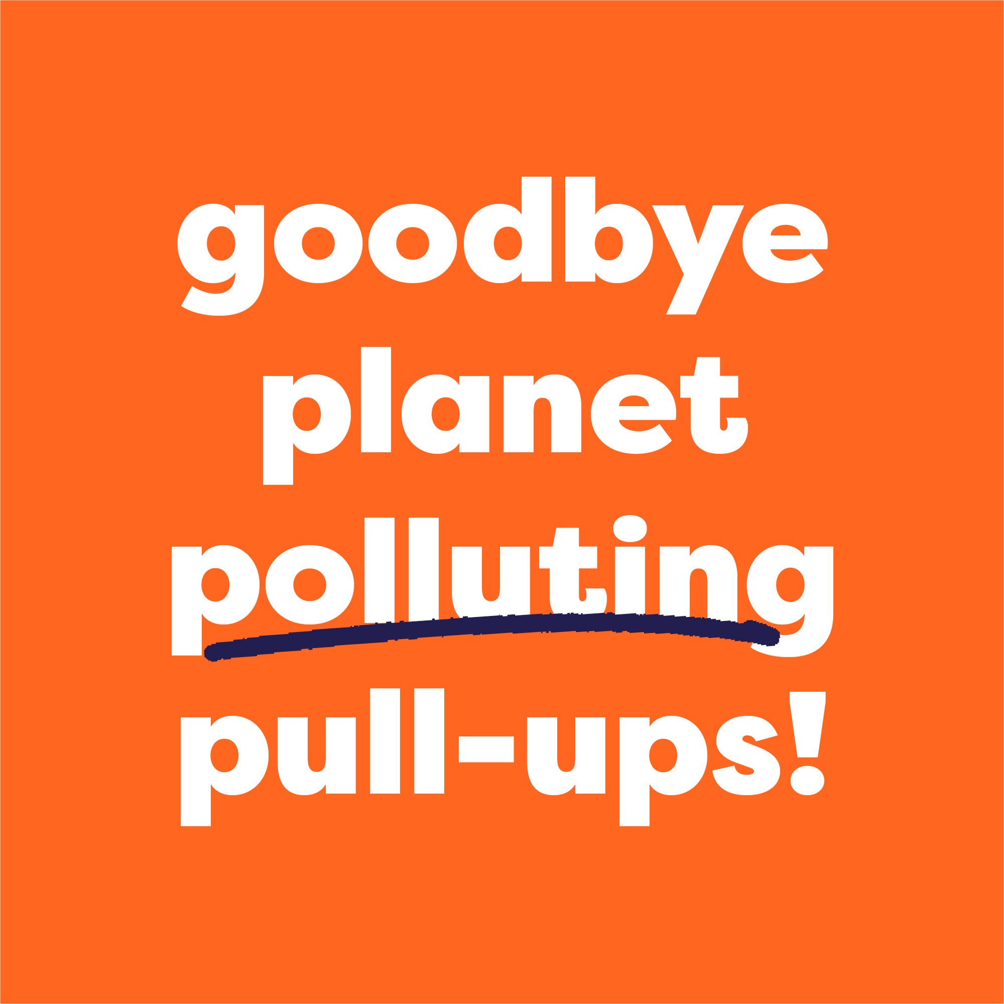 Reusable Potty Training Pants in Pegasus Palace - Bambino Mio (UK)