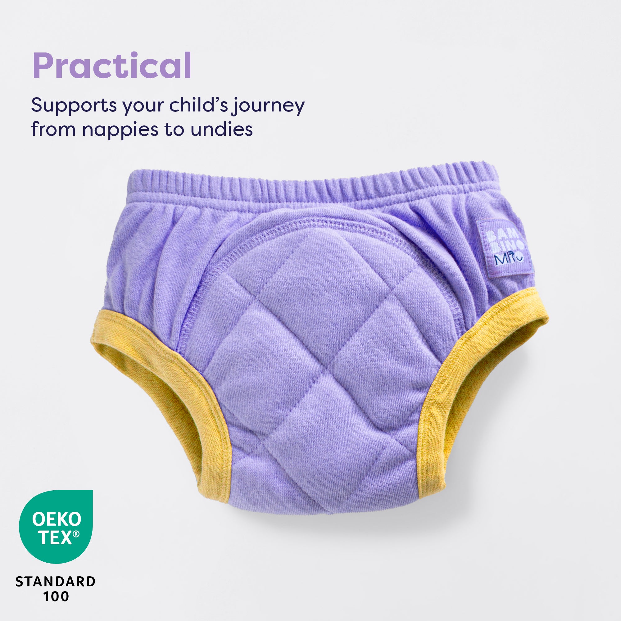 Reusable Potty Training Pants in Grape - Bambino Mio (UK)