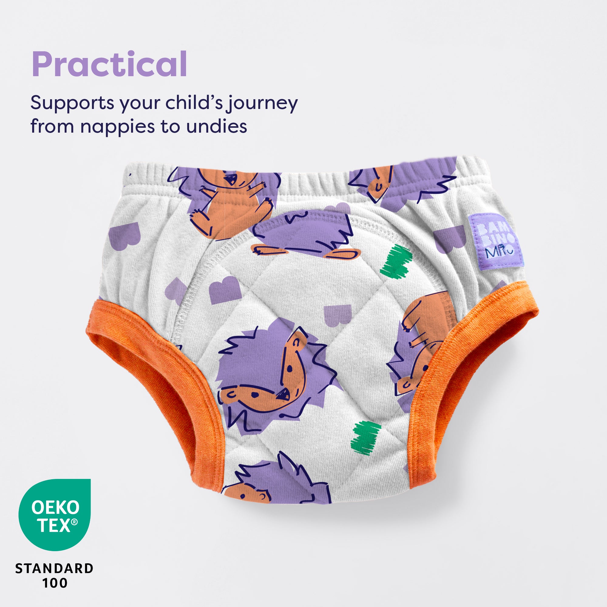 Reusable Potty Training Pants in Spike - Bambino Mio (UK)