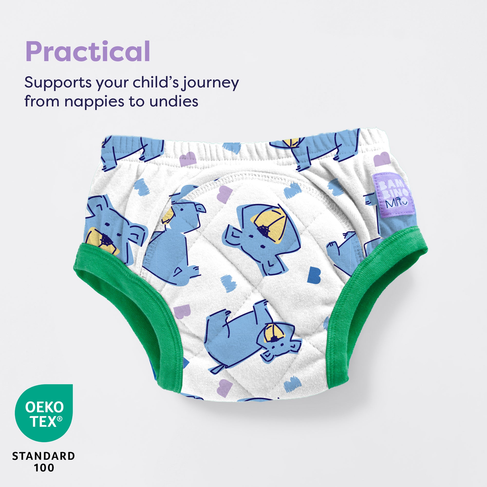 Reusable Potty Training Pants in Champ - Bambino Mio (UK)