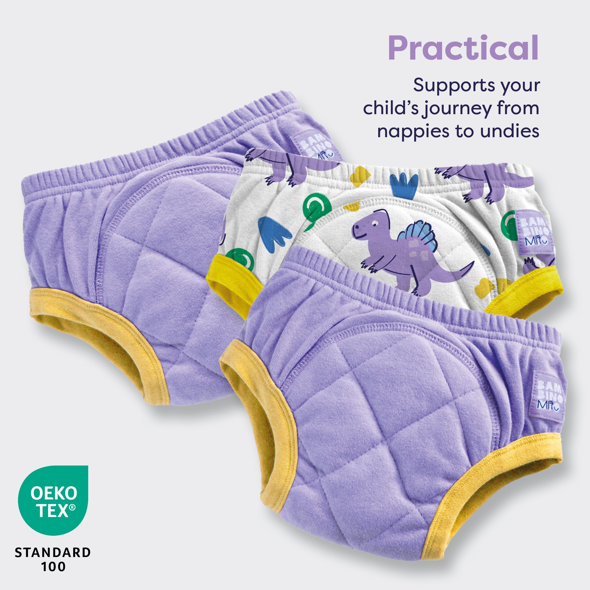 3 Pack Reusable Potty Training Pants in Purple Dinosaur - Bambino Mio (UK)