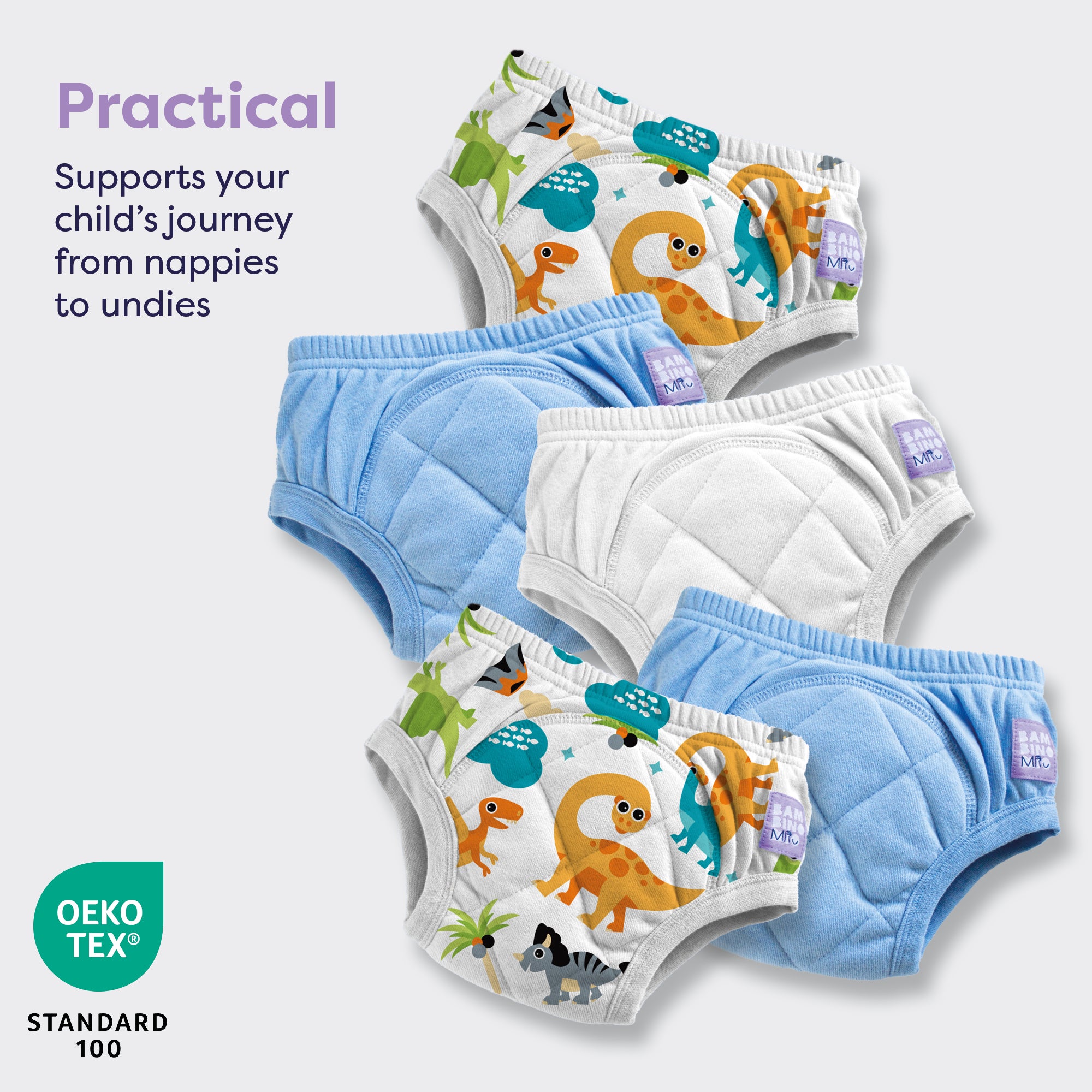 5 Pack Reusable Potty Training Pants in Mixed Dino - Bambino Mio (UK)
